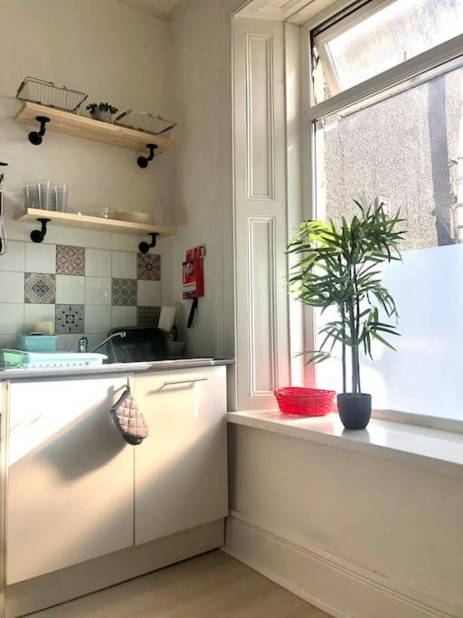 City Studio Apartment *